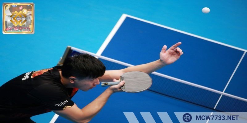 Lưu ý quan trọng mà tay cược nên nắm được